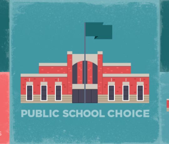 Public School Choice