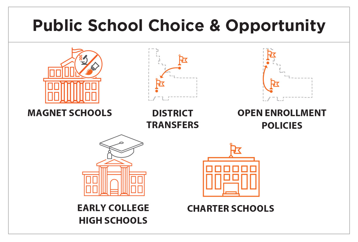 public school choice and opportunity